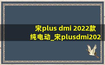 宋plus dmi 2022款纯电动_宋plusdmi2023款纯电动